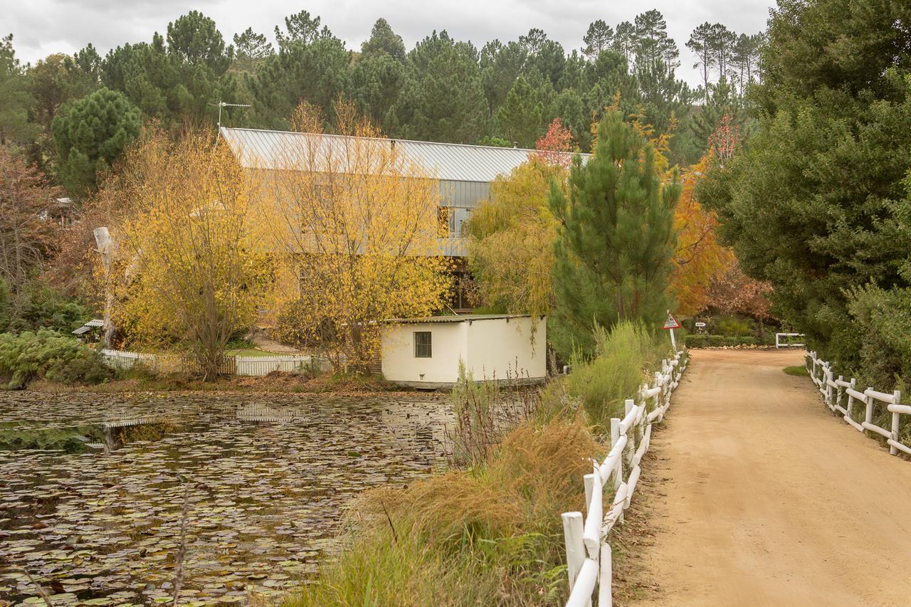 Old Mac Daddy Villa Botrivier Dış mekan fotoğraf