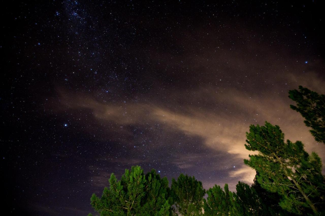 Old Mac Daddy Villa Botrivier Dış mekan fotoğraf