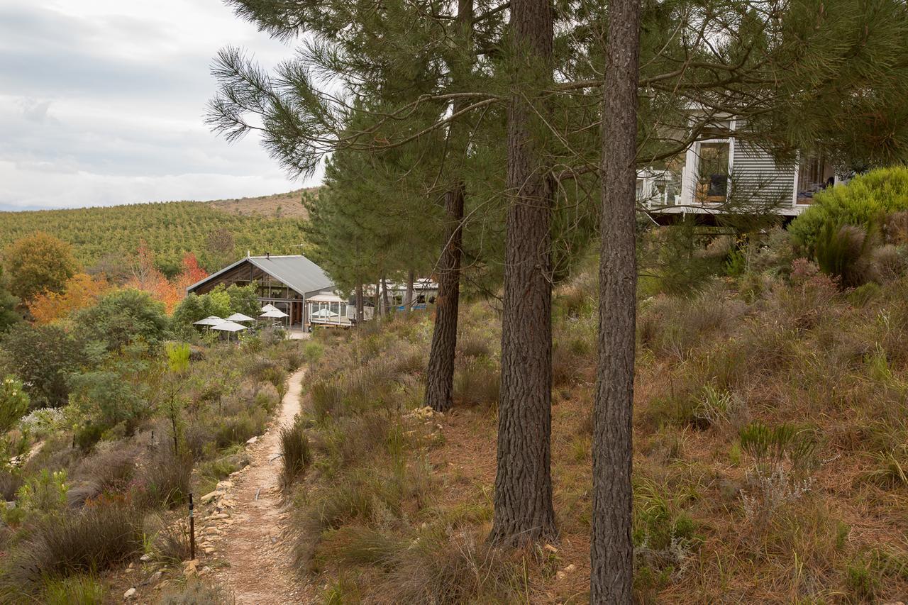 Old Mac Daddy Villa Botrivier Dış mekan fotoğraf